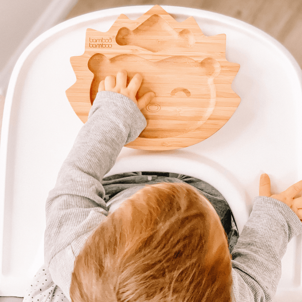 Bamboo Baby Suction Plates